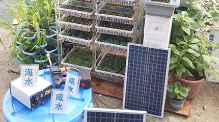 Ash seawater planting
